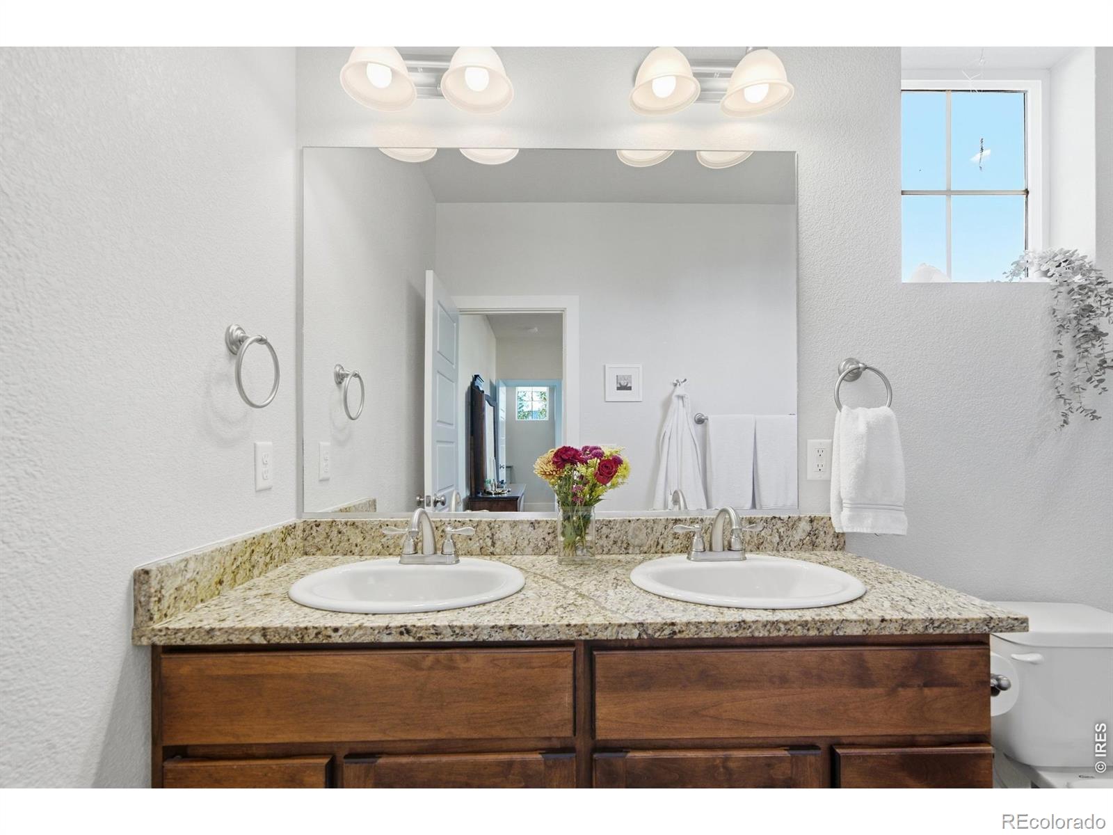 MLS Image #15 for 2556  nancy gray avenue,fort collins, Colorado