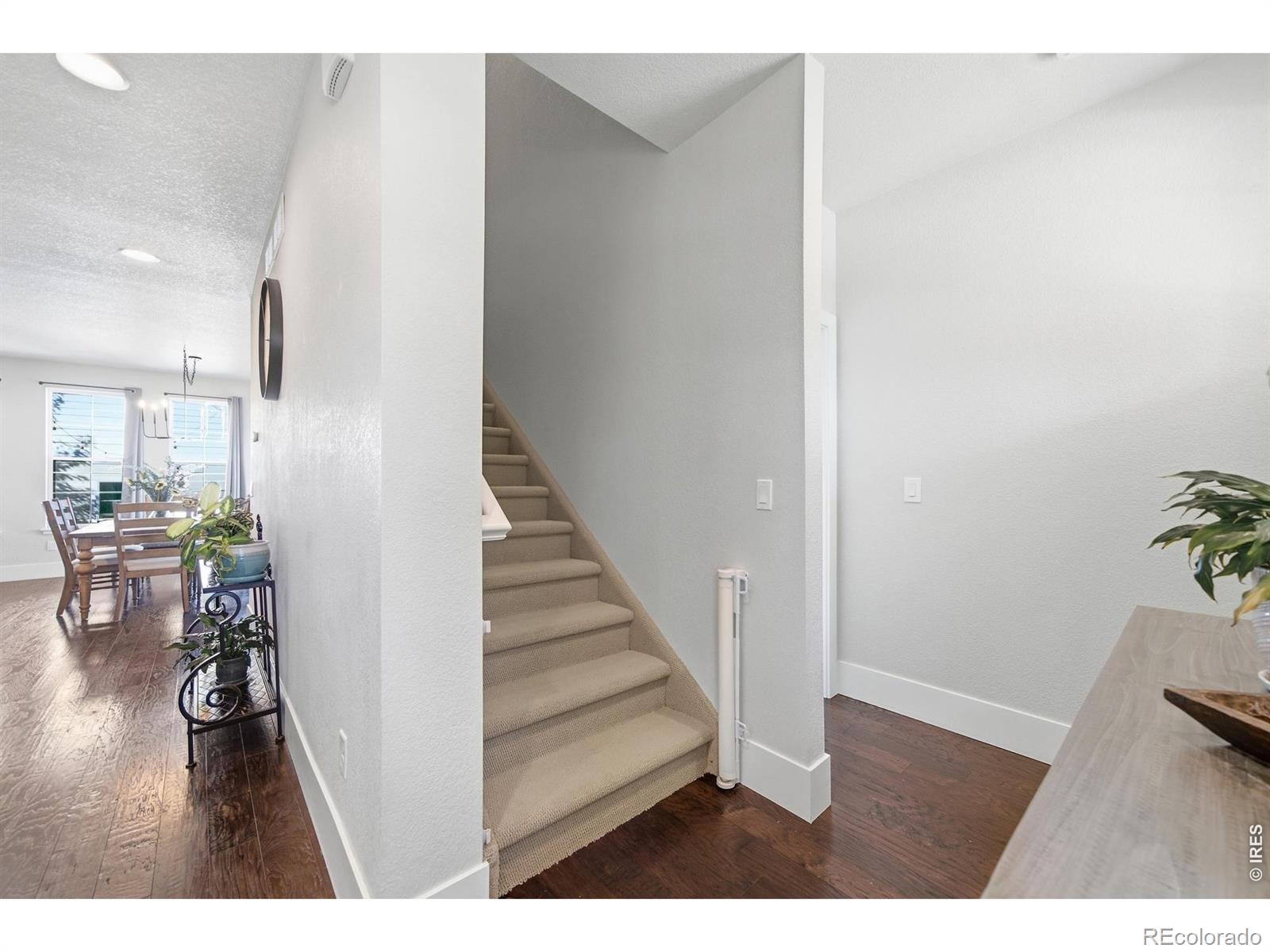 MLS Image #17 for 2556  nancy gray avenue,fort collins, Colorado