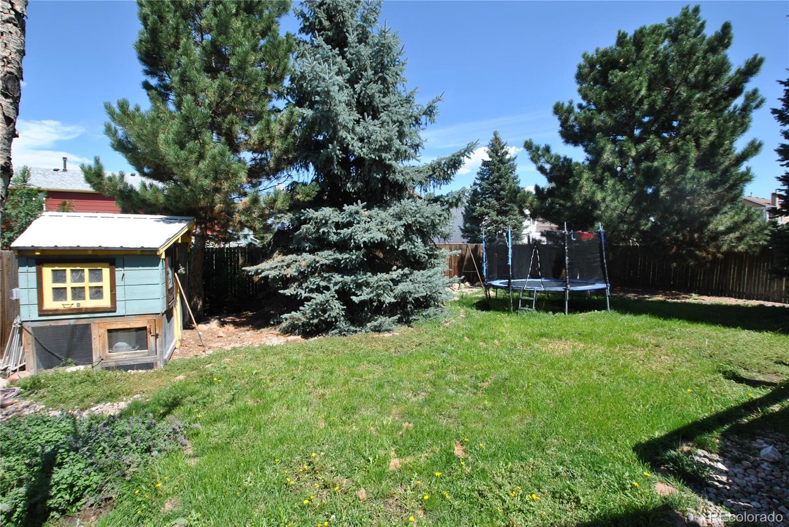 MLS Image #22 for 4690  malcom court,colorado springs, Colorado