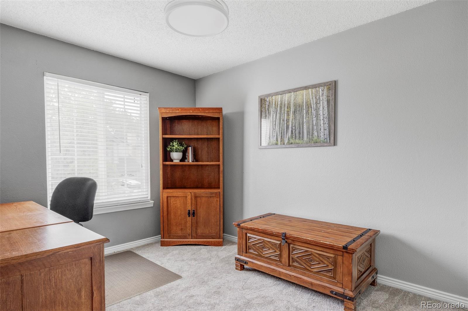 MLS Image #26 for 6316  nassau court,highlands ranch, Colorado
