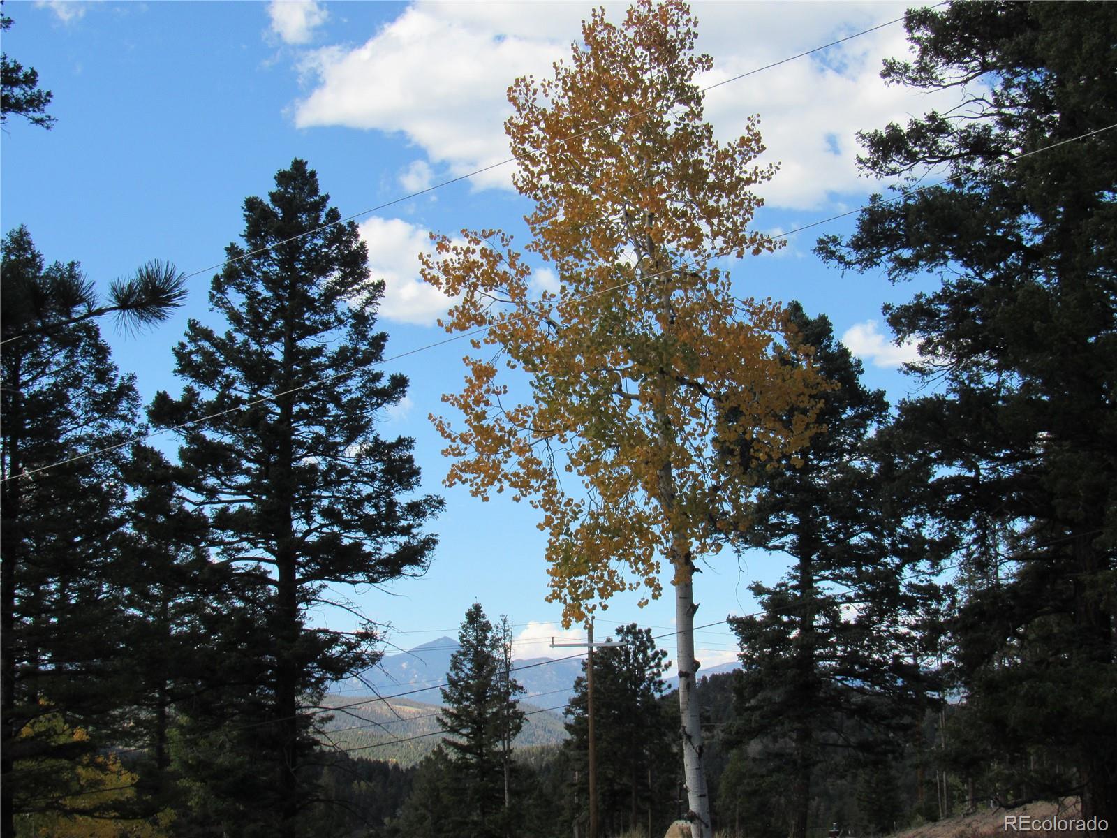MLS Image #1 for 10198  hutch lane,conifer, Colorado