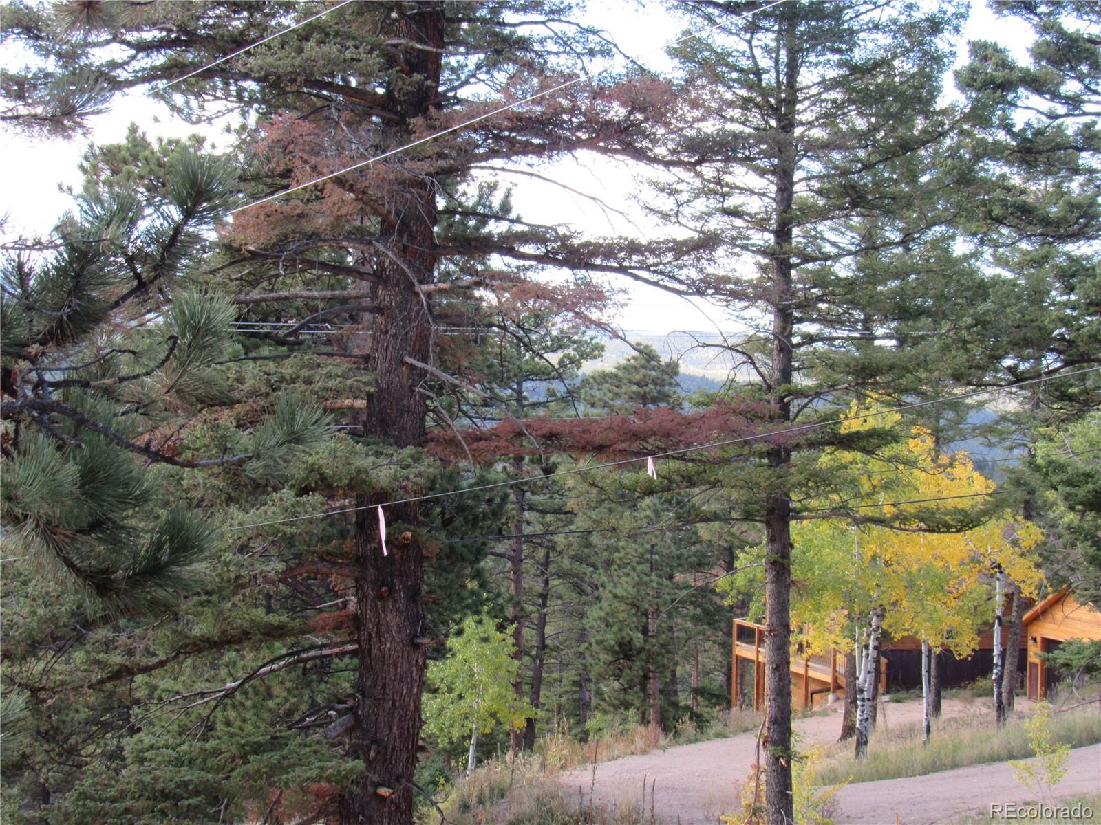 MLS Image #7 for 10198  hutch lane,conifer, Colorado