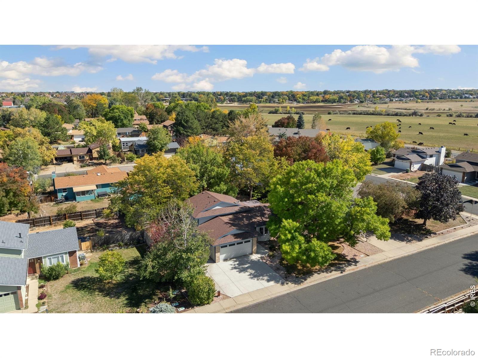 MLS Image #0 for 1656 s gilpin avenue,loveland, Colorado