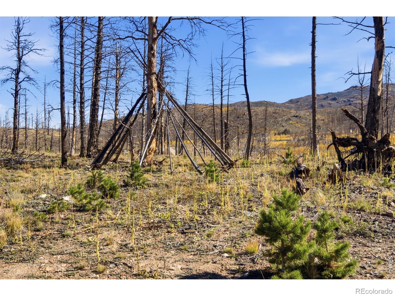 MLS Image #25 for 1588  monument gulch way,bellvue, Colorado