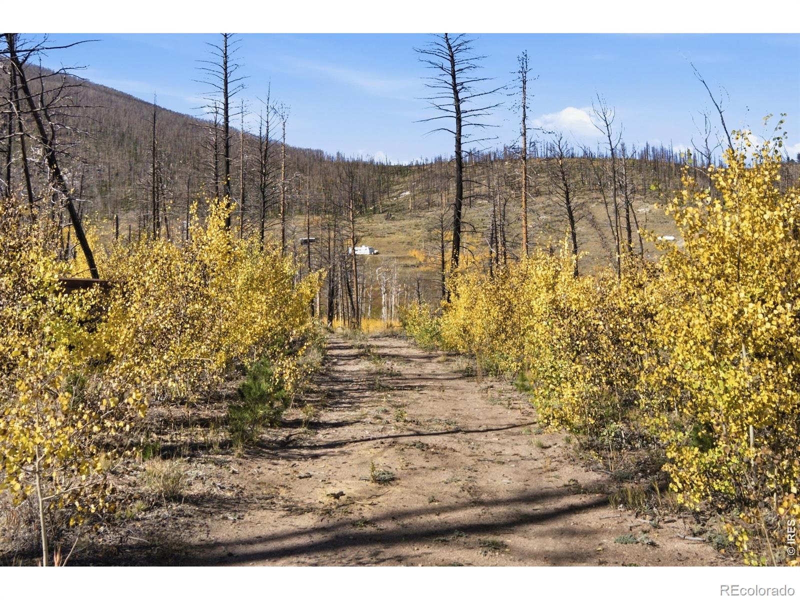 MLS Image #26 for 1588  monument gulch way,bellvue, Colorado