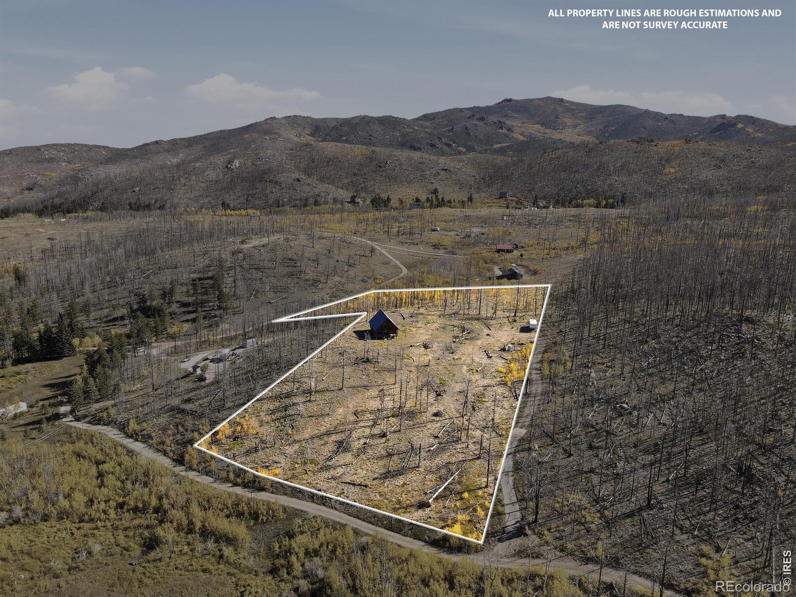 MLS Image #4 for 1588  monument gulch way,bellvue, Colorado