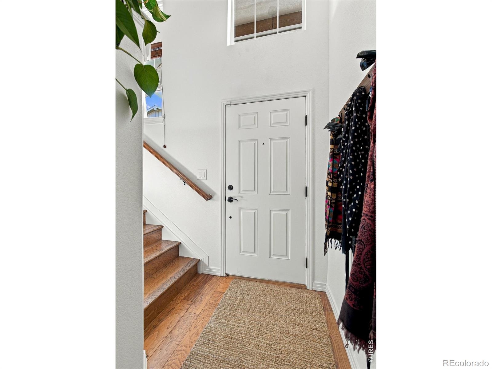 MLS Image #29 for 1644  venice lane,longmont, Colorado