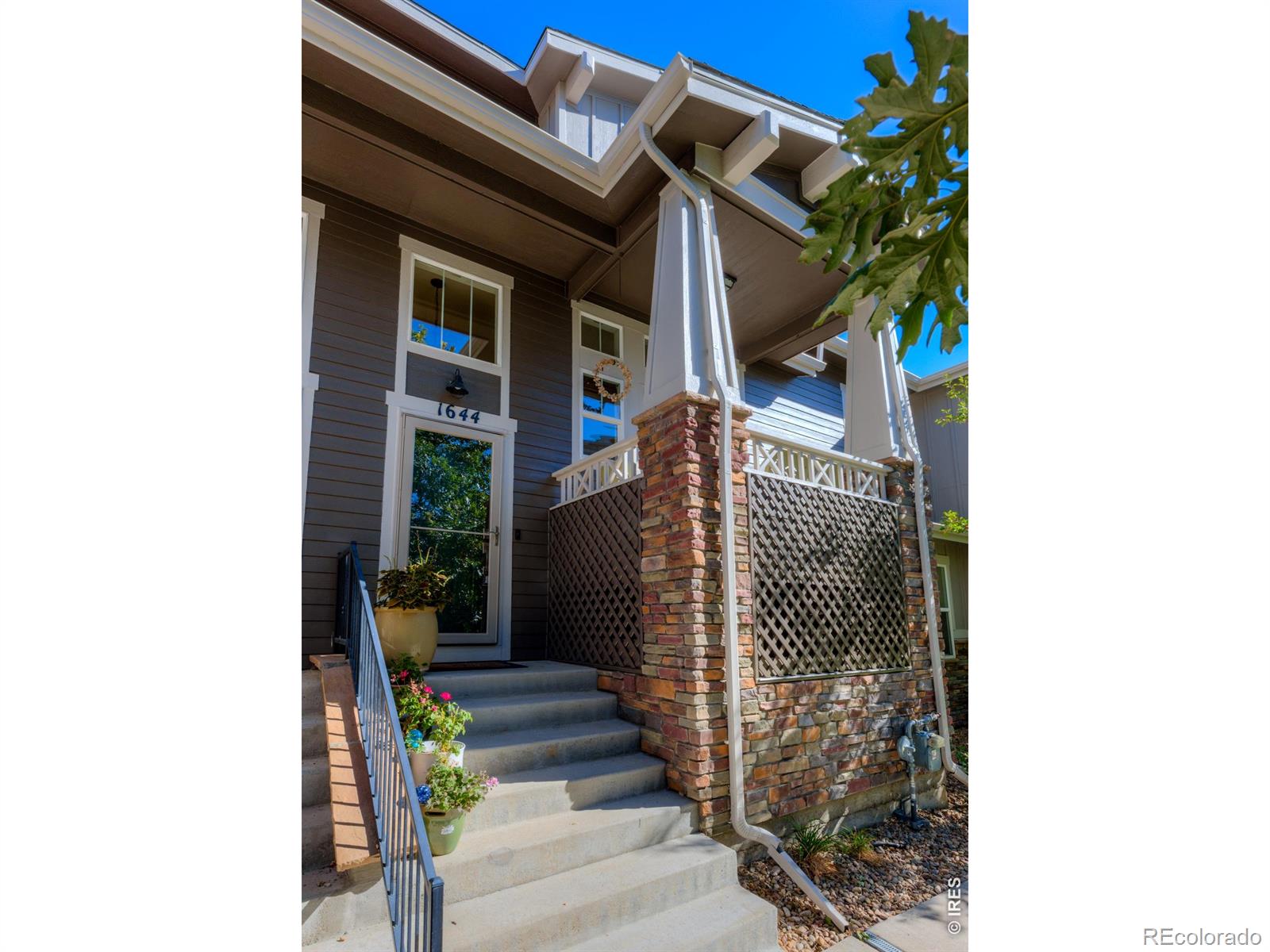 MLS Image #6 for 1644  venice lane,longmont, Colorado