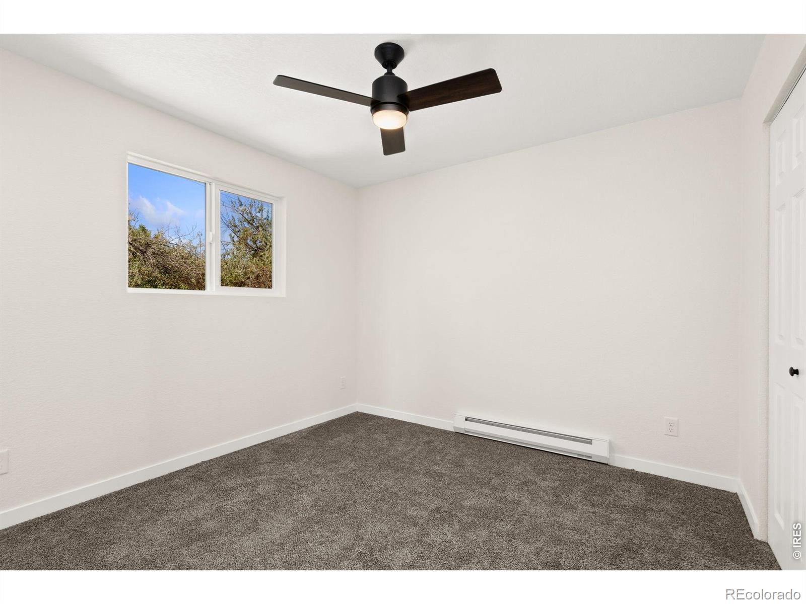 MLS Image #10 for 817  redwood court,bellvue, Colorado