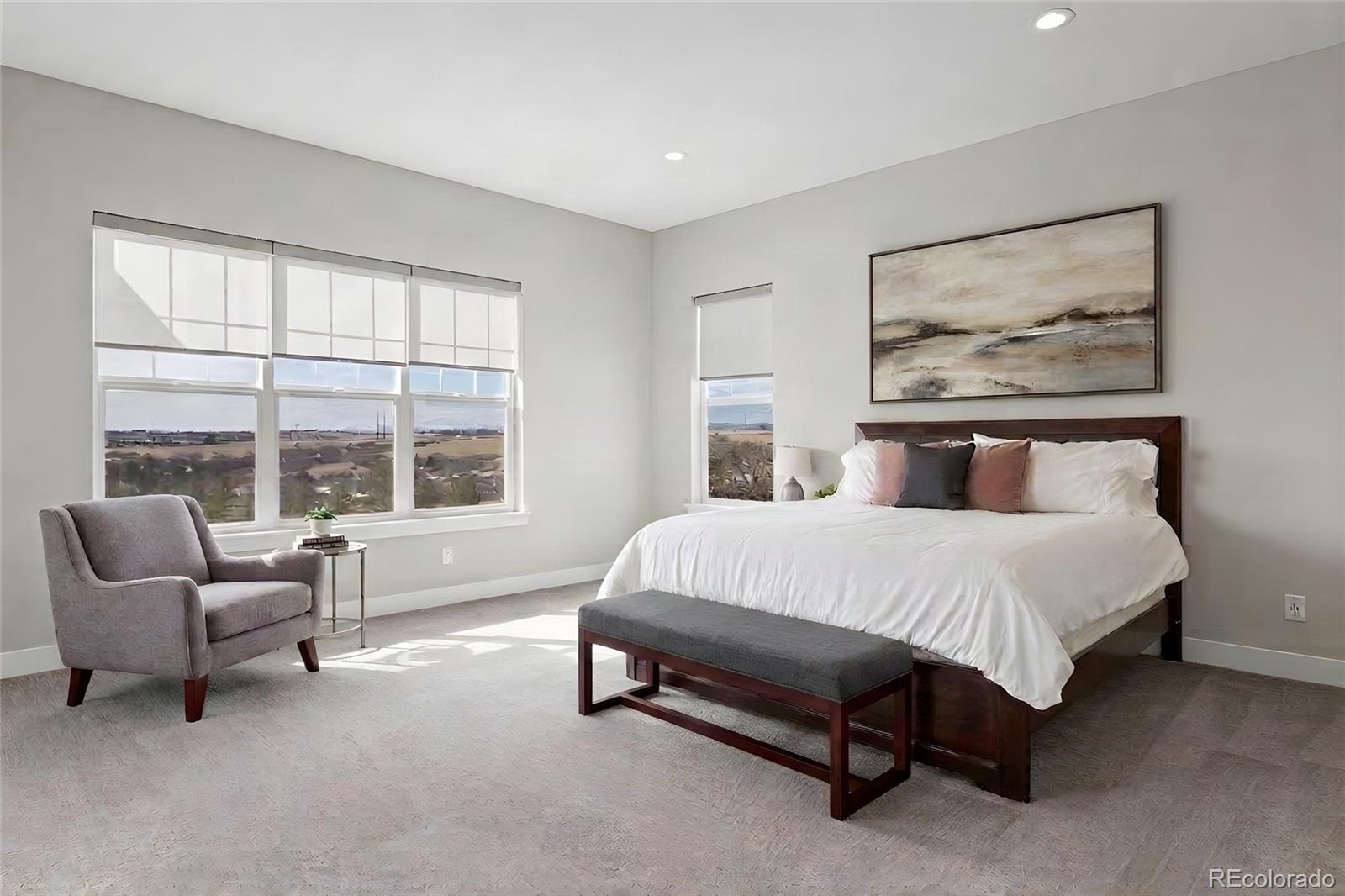 MLS Image #15 for 3202  wingspan point,castle rock, Colorado