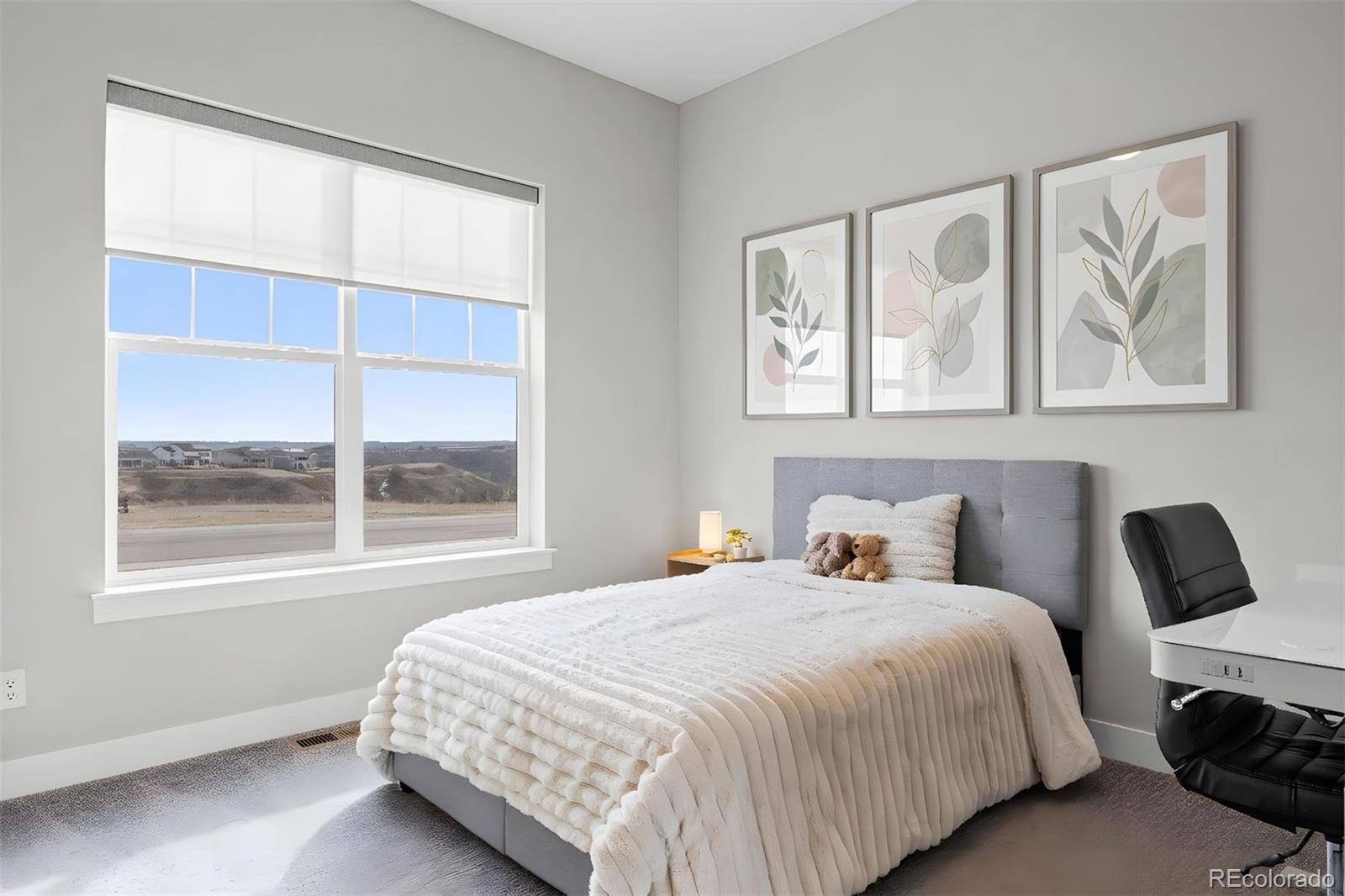 MLS Image #22 for 3202  wingspan point,castle rock, Colorado