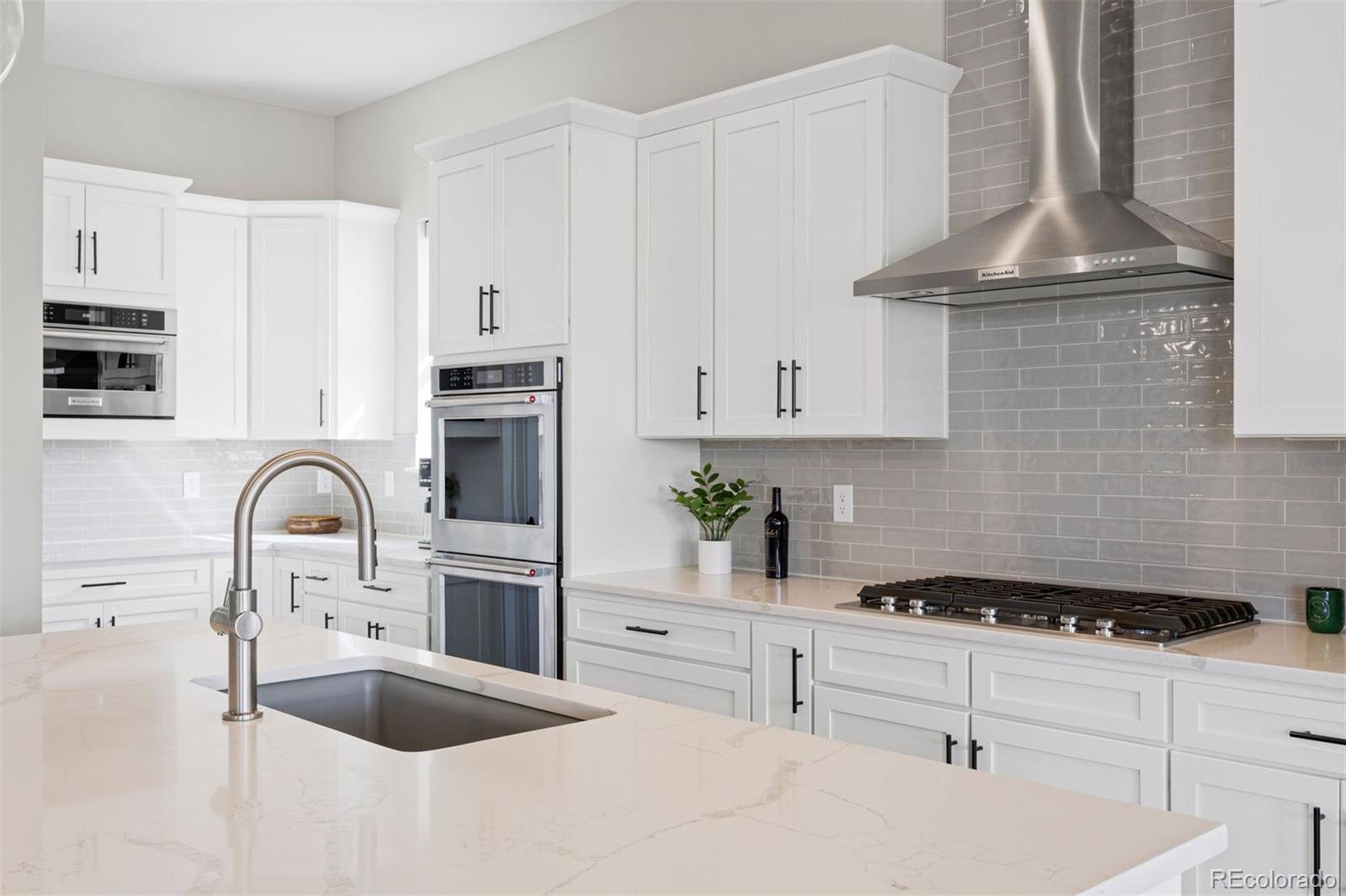 MLS Image #9 for 3202  wingspan point,castle rock, Colorado