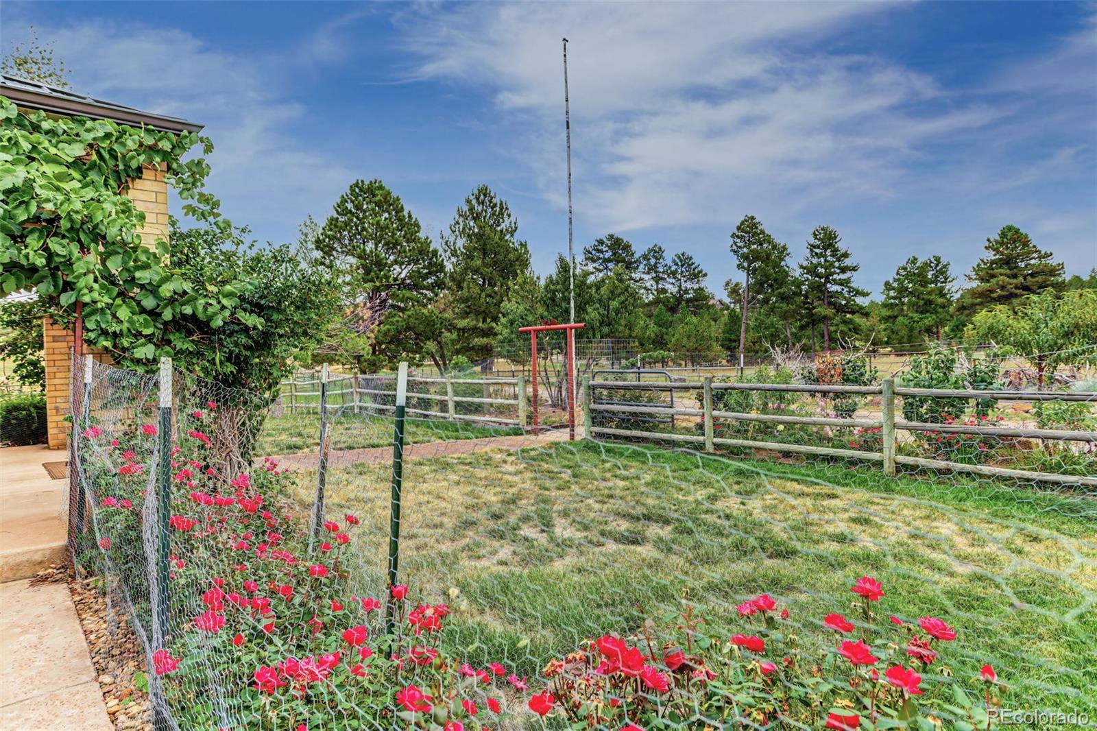 MLS Image #3 for 23117  jade circle,deer trail, Colorado