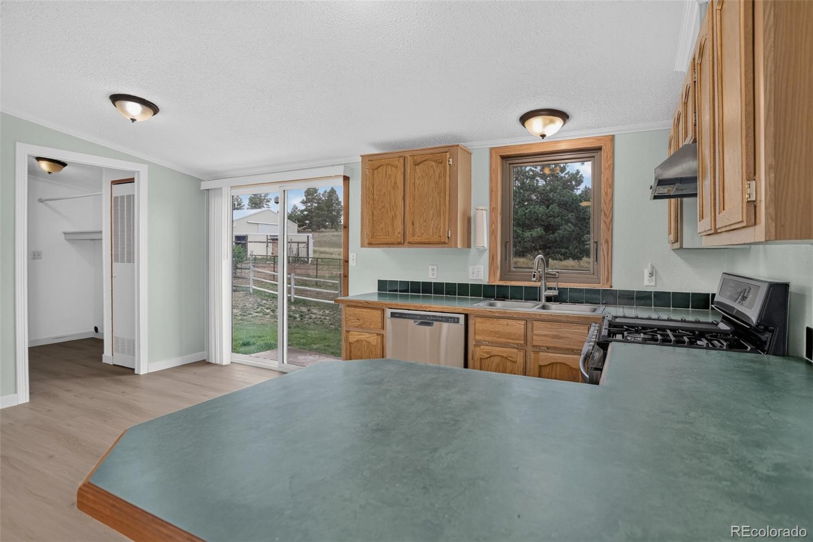 MLS Image #8 for 23117  jade circle,deer trail, Colorado