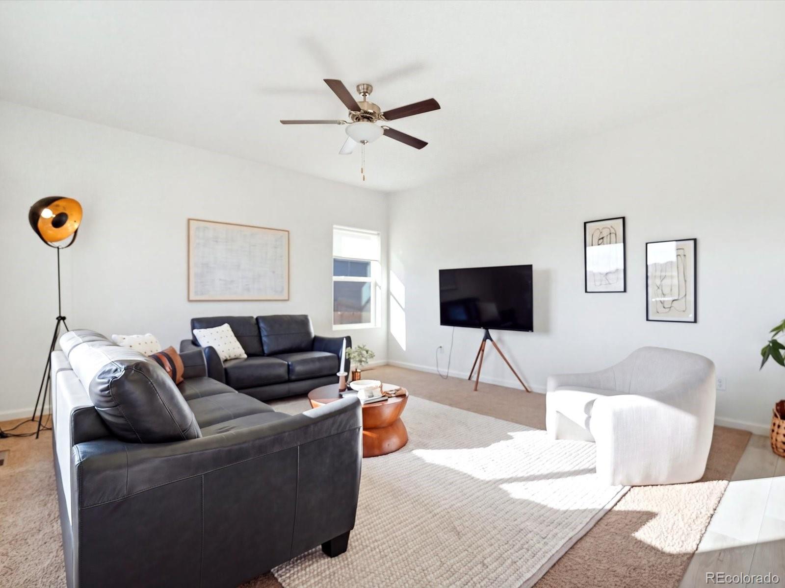 MLS Image #12 for 7384  blue river avenue,frederick, Colorado