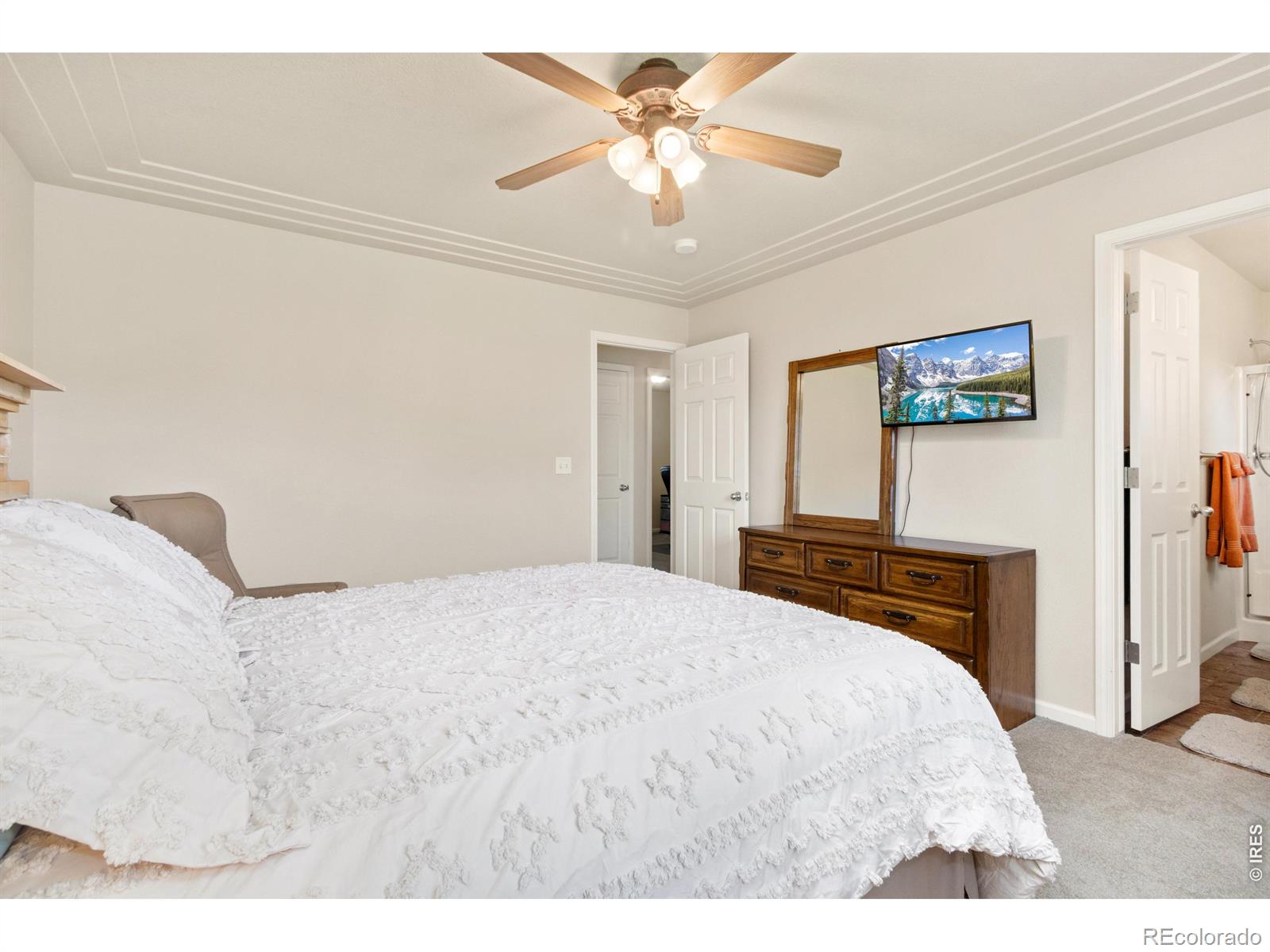 MLS Image #11 for 238  aspen grove way,severance, Colorado