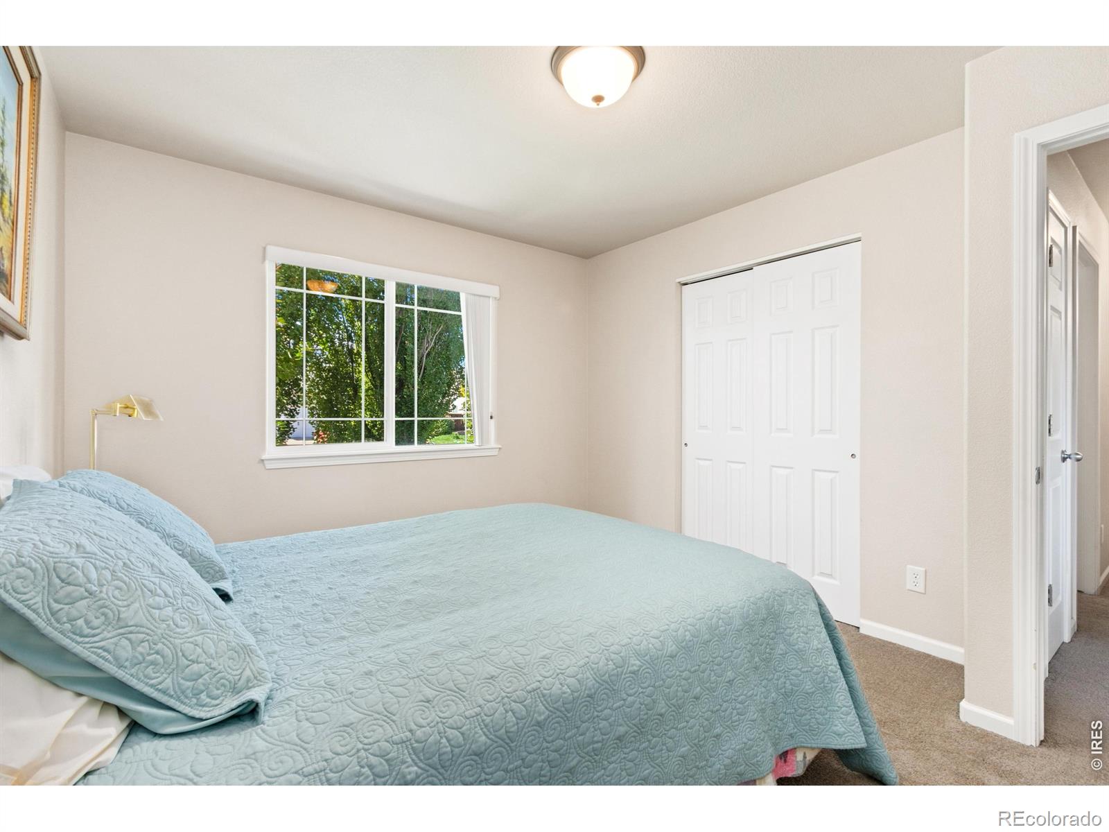 MLS Image #14 for 238  aspen grove way,severance, Colorado