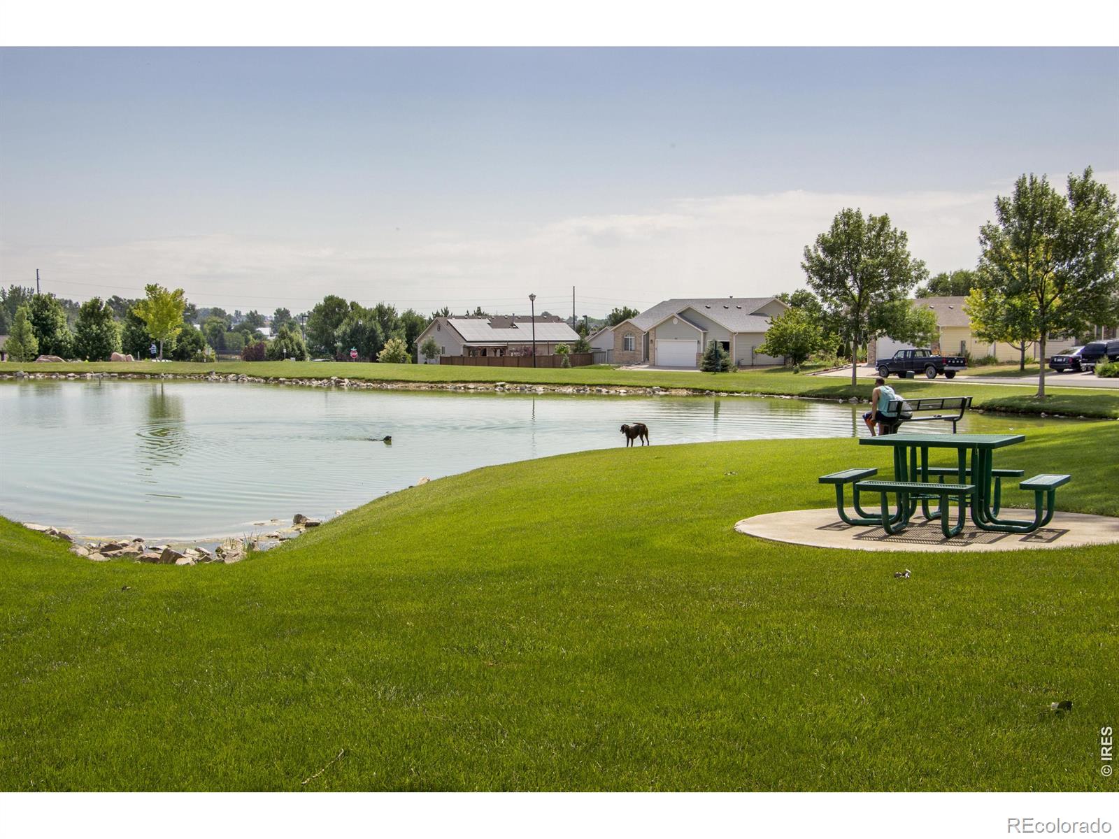 MLS Image #27 for 238  aspen grove way,severance, Colorado