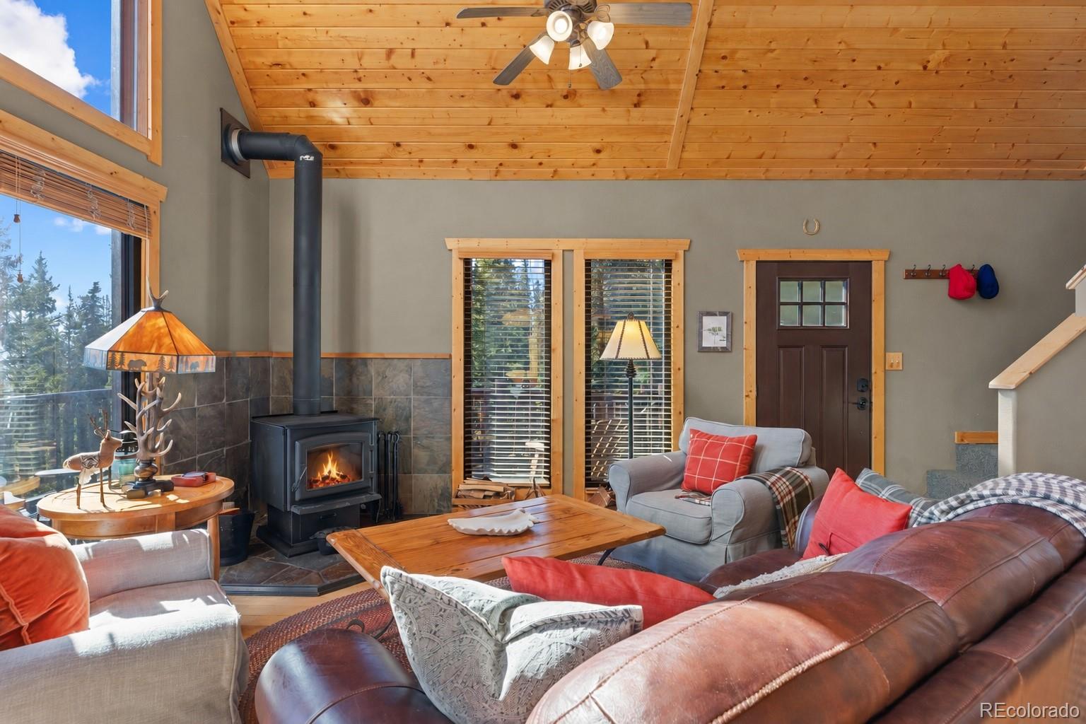 MLS Image #10 for 157  prunes place,fairplay, Colorado
