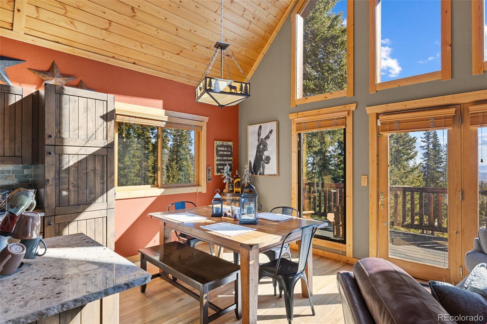 MLS Image #11 for 157  prunes place,fairplay, Colorado