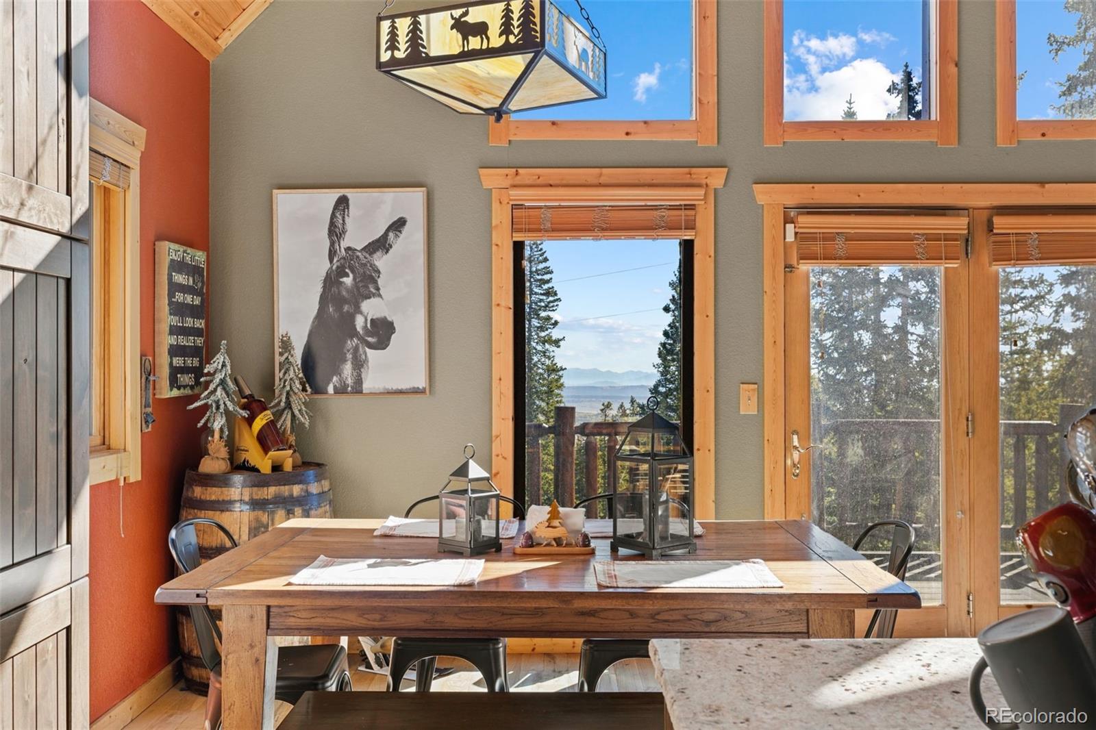 MLS Image #12 for 157  prunes place,fairplay, Colorado