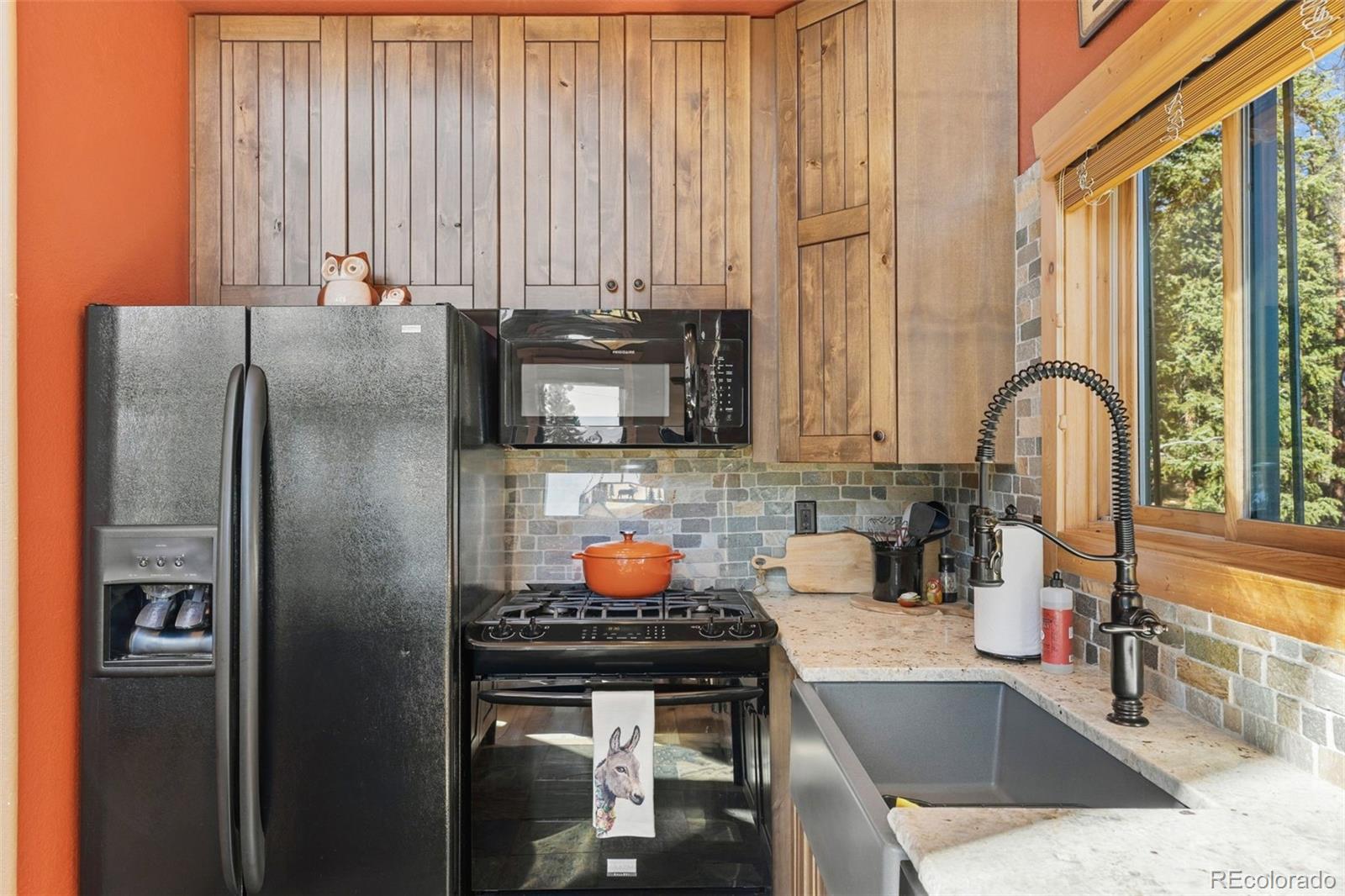 MLS Image #15 for 157  prunes place,fairplay, Colorado
