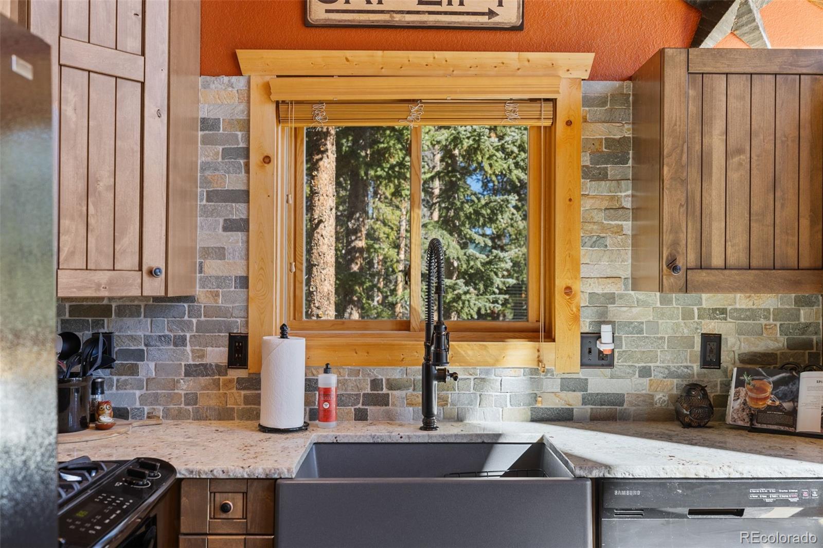 MLS Image #16 for 157  prunes place,fairplay, Colorado