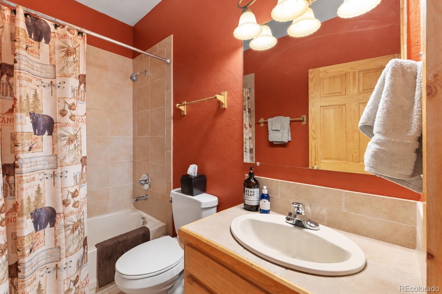 MLS Image #17 for 157  prunes place,fairplay, Colorado