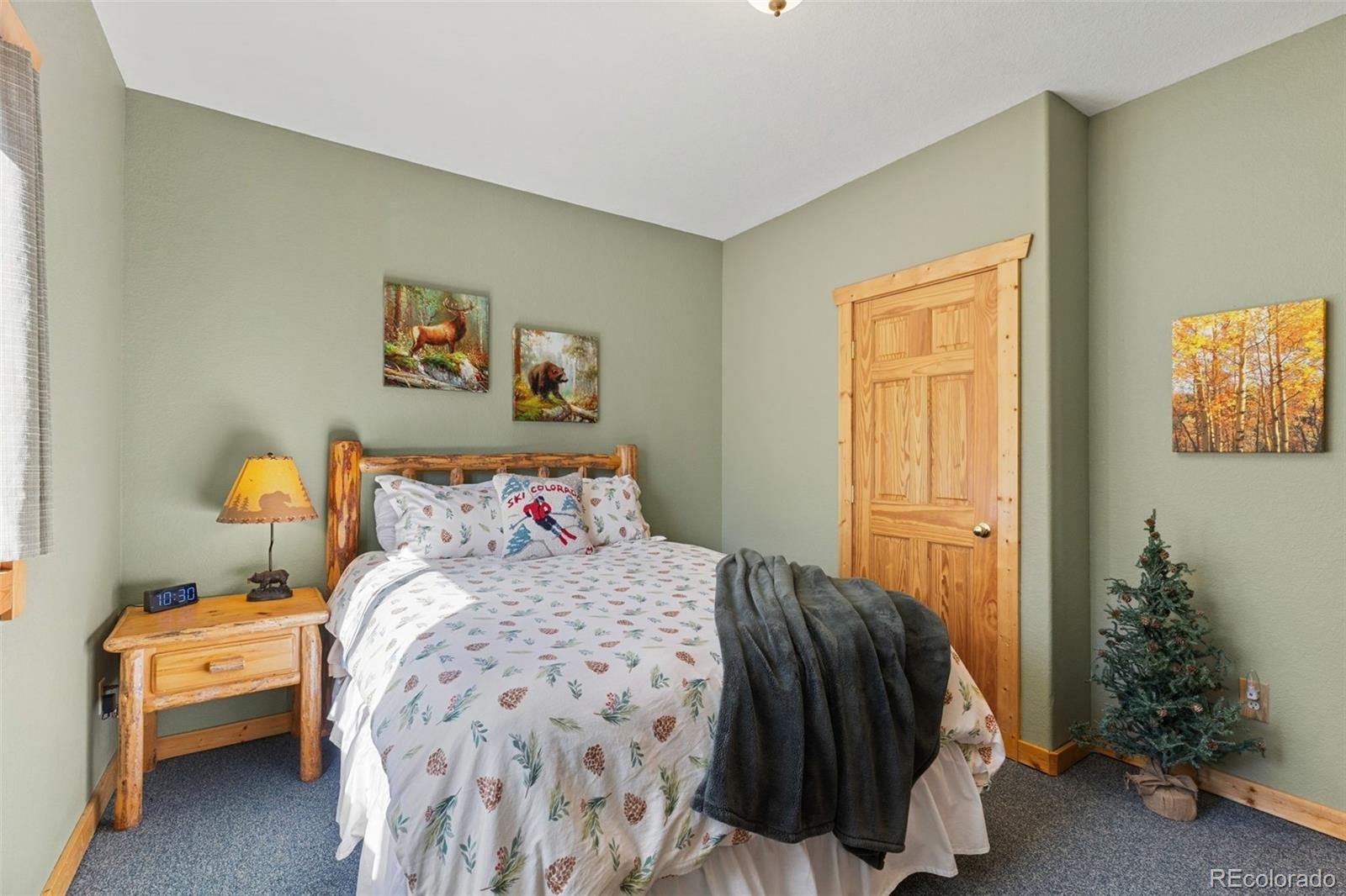 MLS Image #18 for 157  prunes place,fairplay, Colorado