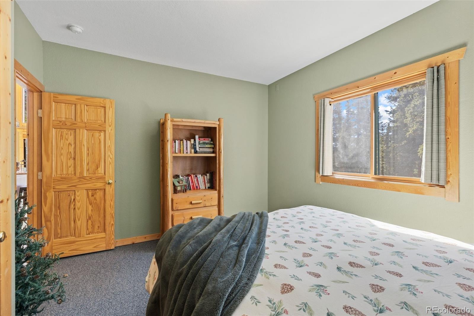 MLS Image #19 for 157  prunes place,fairplay, Colorado
