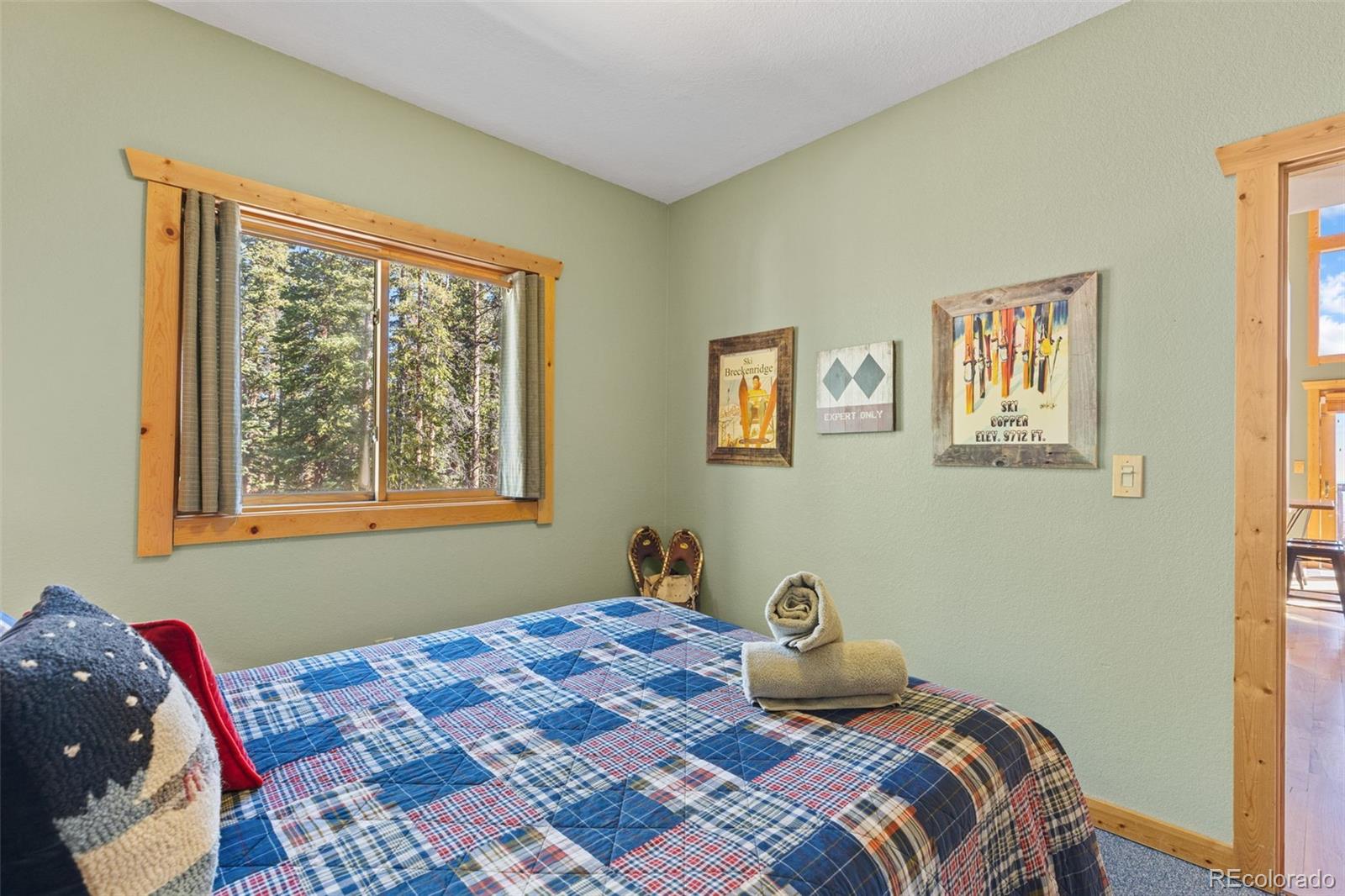 MLS Image #22 for 157  prunes place,fairplay, Colorado