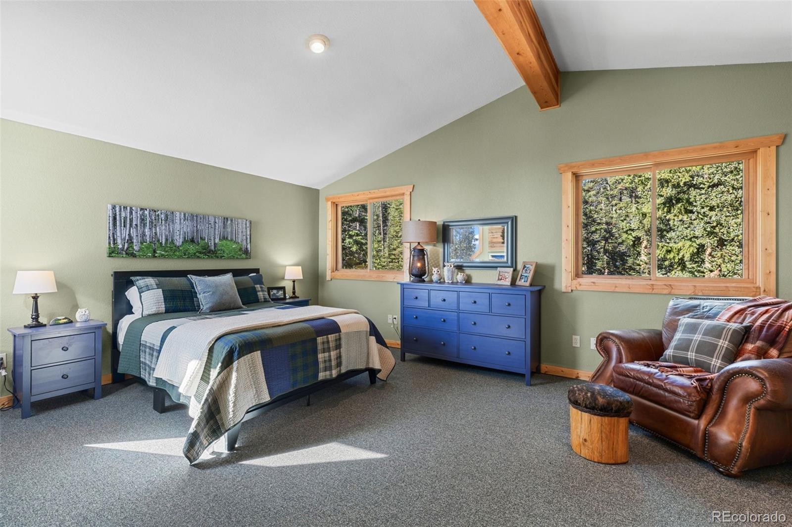 MLS Image #23 for 157  prunes place,fairplay, Colorado
