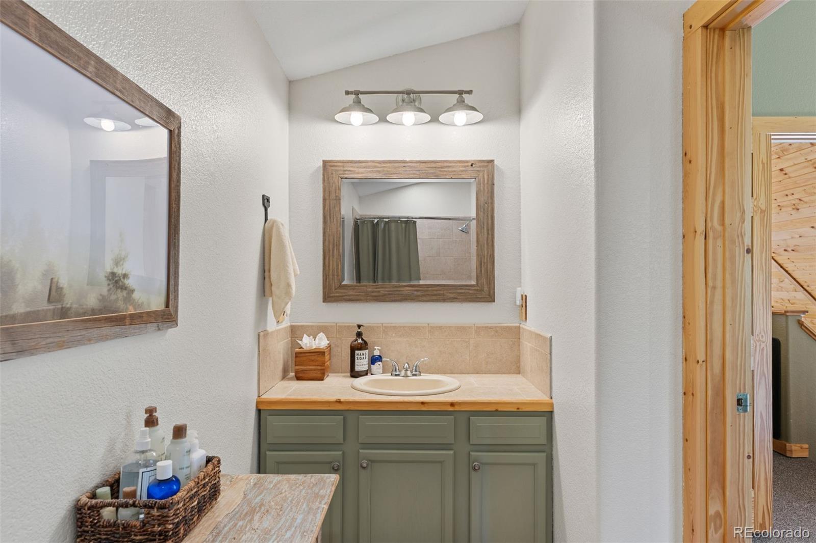 MLS Image #25 for 157  prunes place,fairplay, Colorado