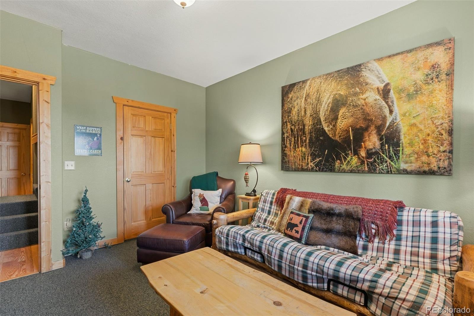 MLS Image #28 for 157  prunes place,fairplay, Colorado