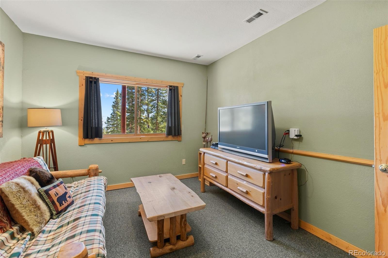 MLS Image #29 for 157  prunes place,fairplay, Colorado