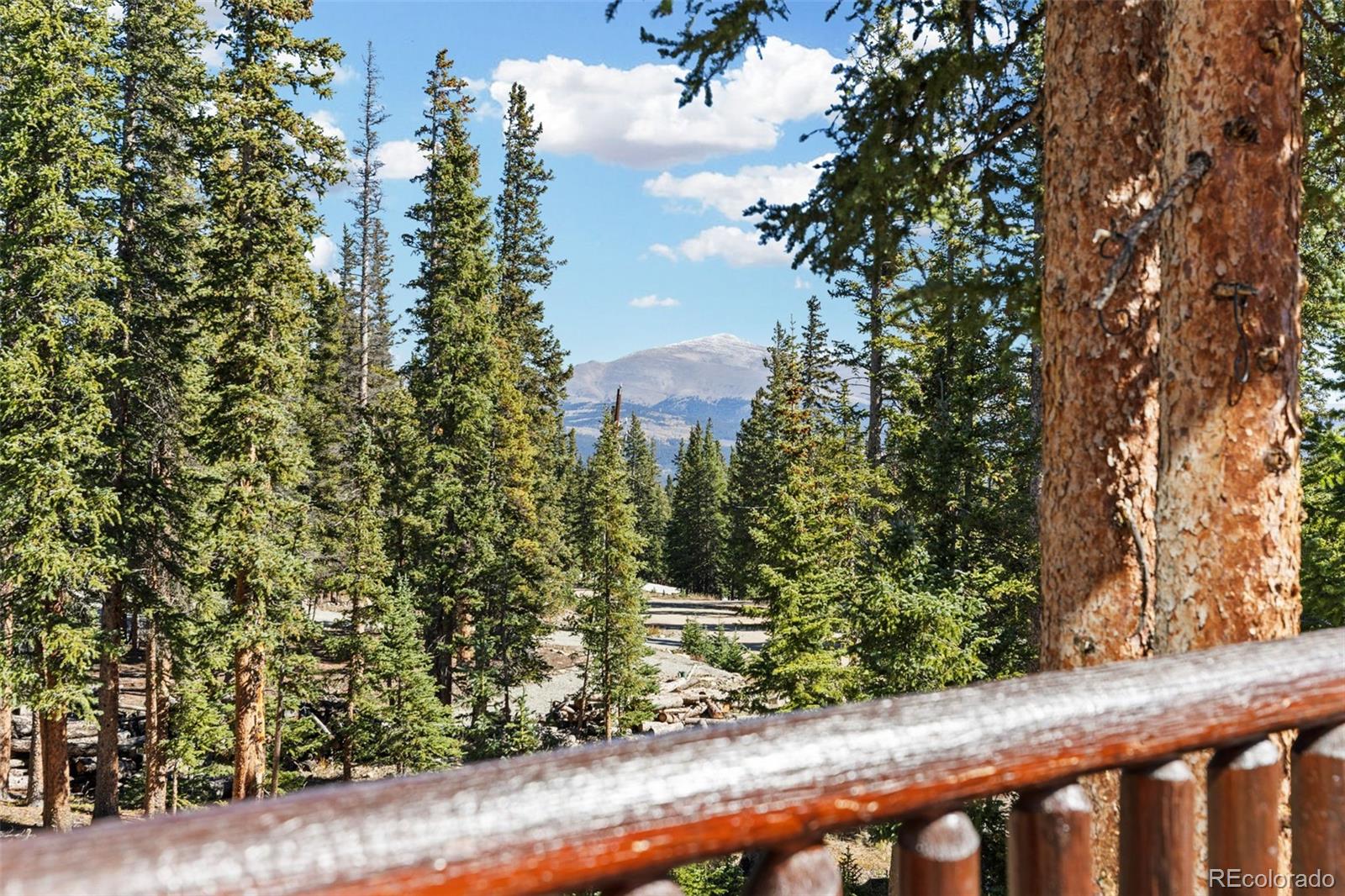 MLS Image #35 for 157  prunes place,fairplay, Colorado