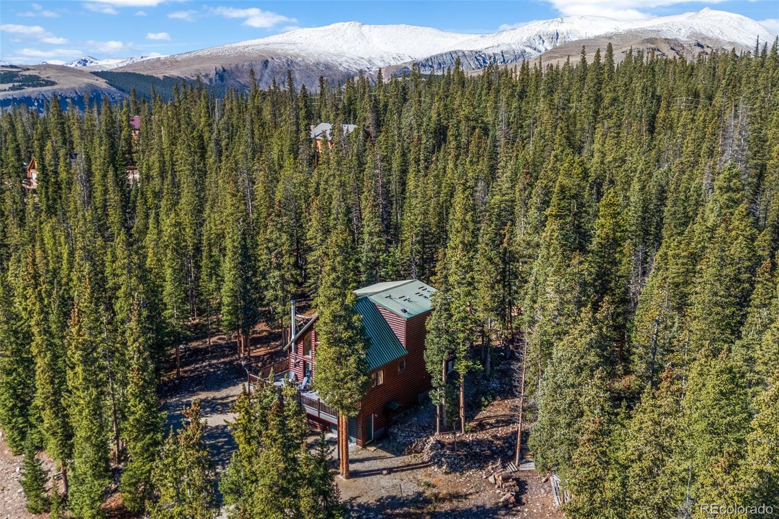 MLS Image #4 for 157  prunes place,fairplay, Colorado