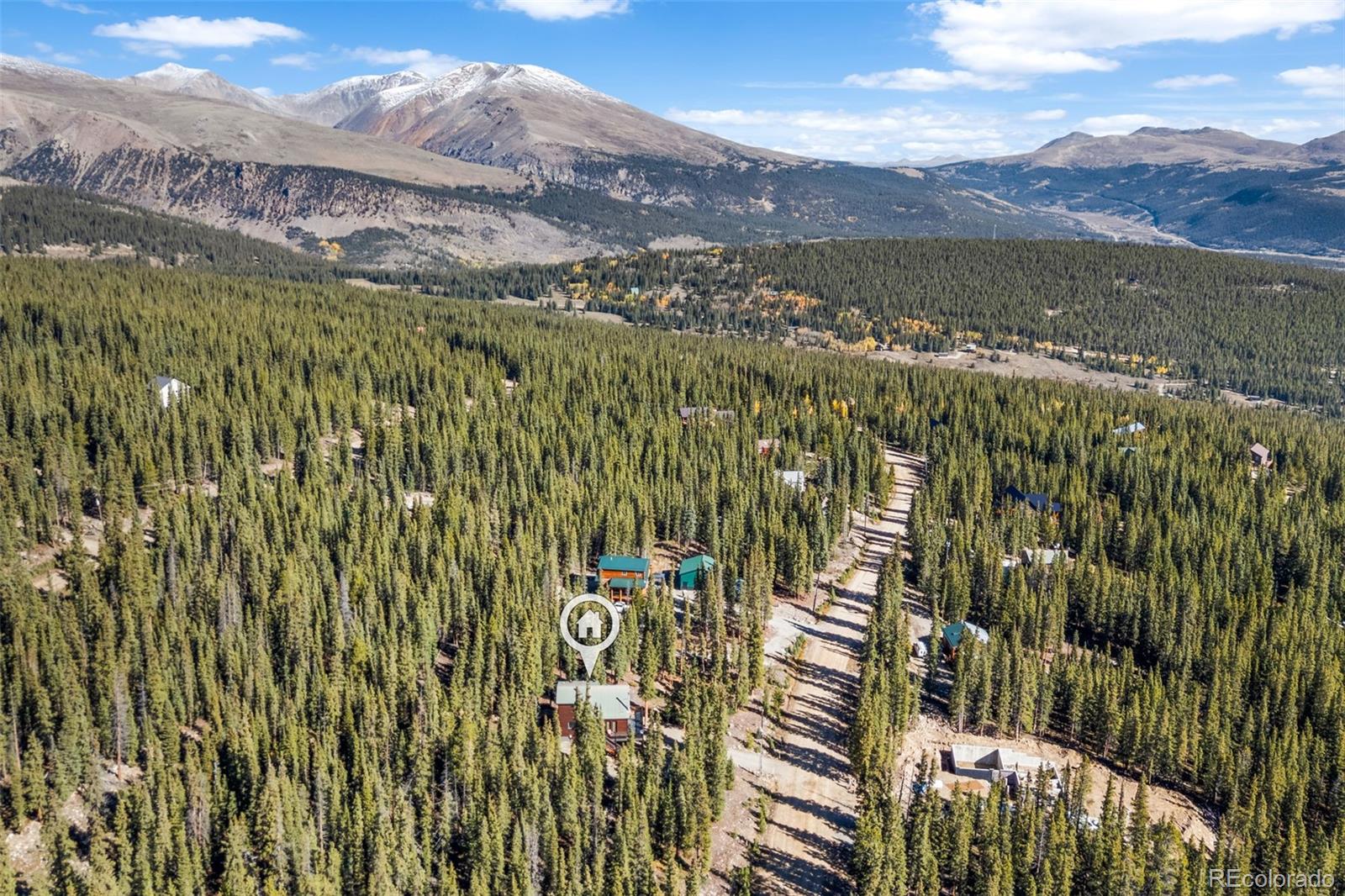 MLS Image #6 for 157  prunes place,fairplay, Colorado