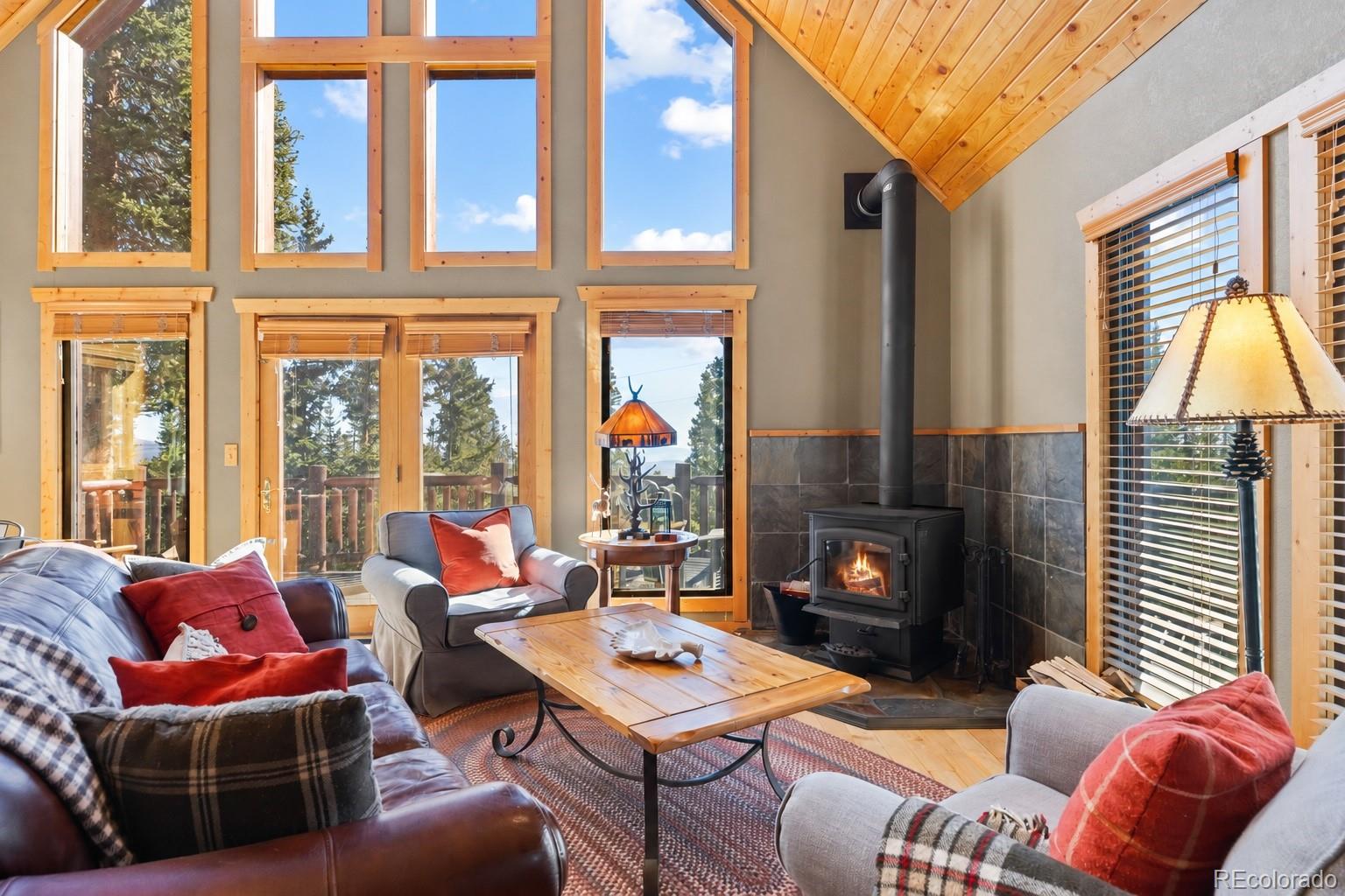 MLS Image #9 for 157  prunes place,fairplay, Colorado