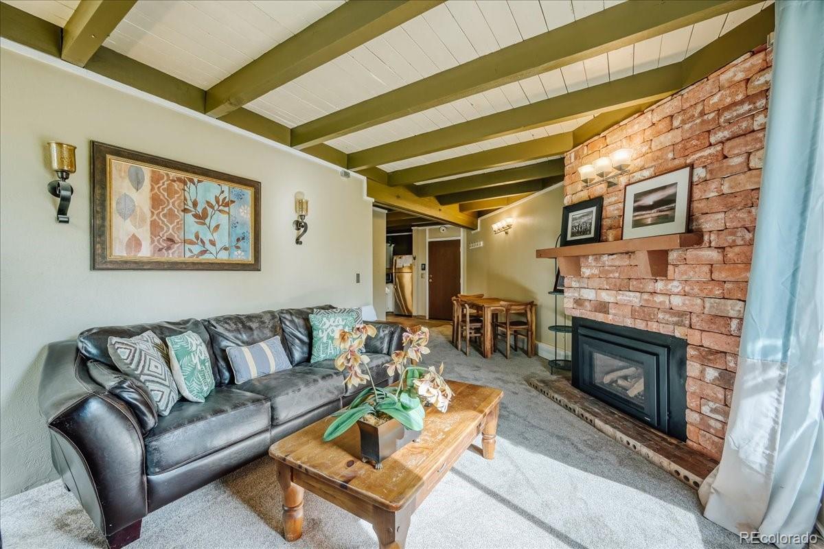 MLS Image #10 for 2300  lodge pole circle,silverthorne, Colorado
