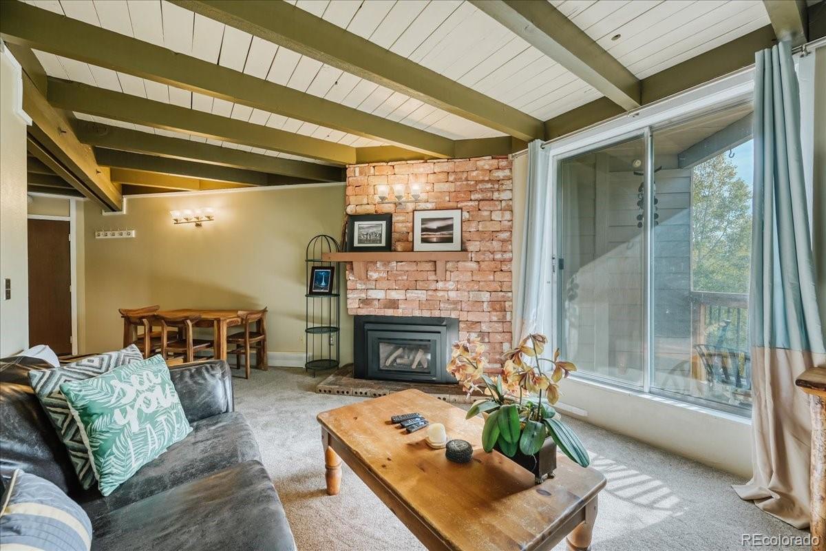 MLS Image #11 for 2300  lodge pole circle,silverthorne, Colorado