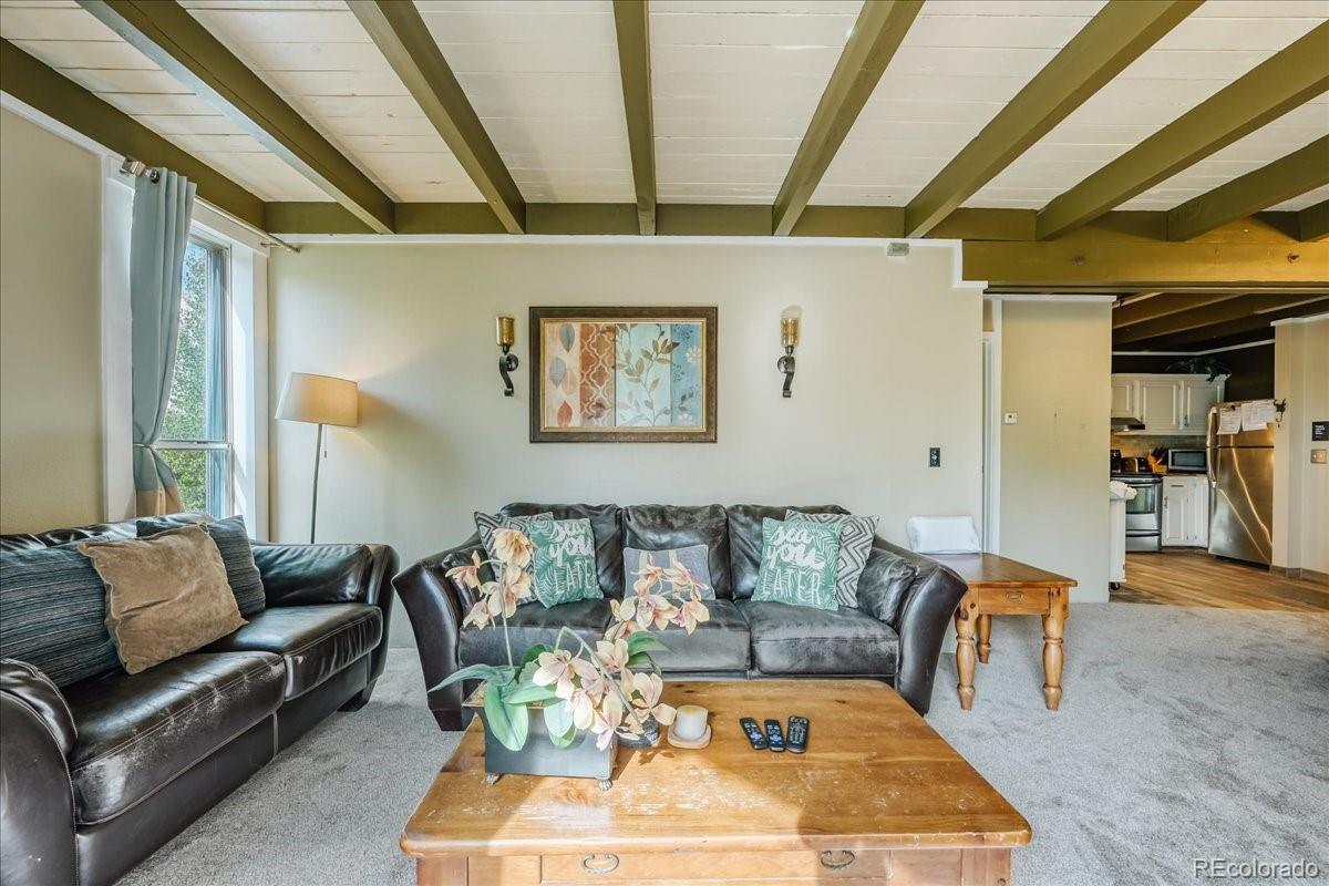 MLS Image #12 for 2300  lodge pole circle,silverthorne, Colorado