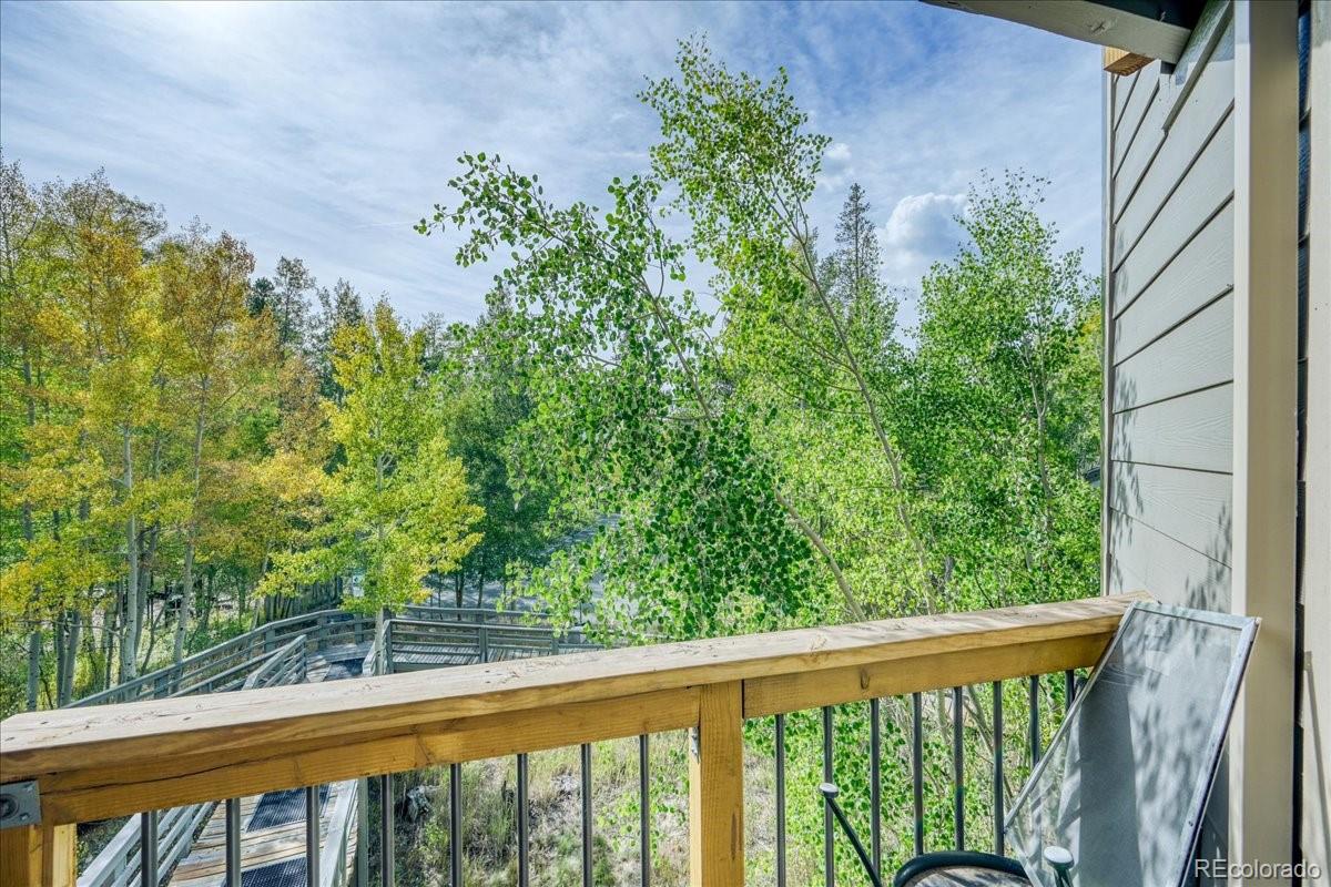MLS Image #13 for 2300  lodge pole circle,silverthorne, Colorado