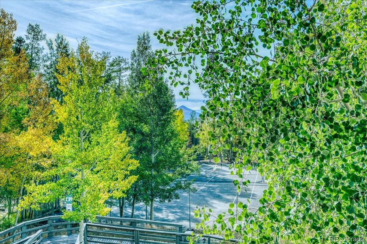 MLS Image #14 for 2300  lodge pole circle,silverthorne, Colorado