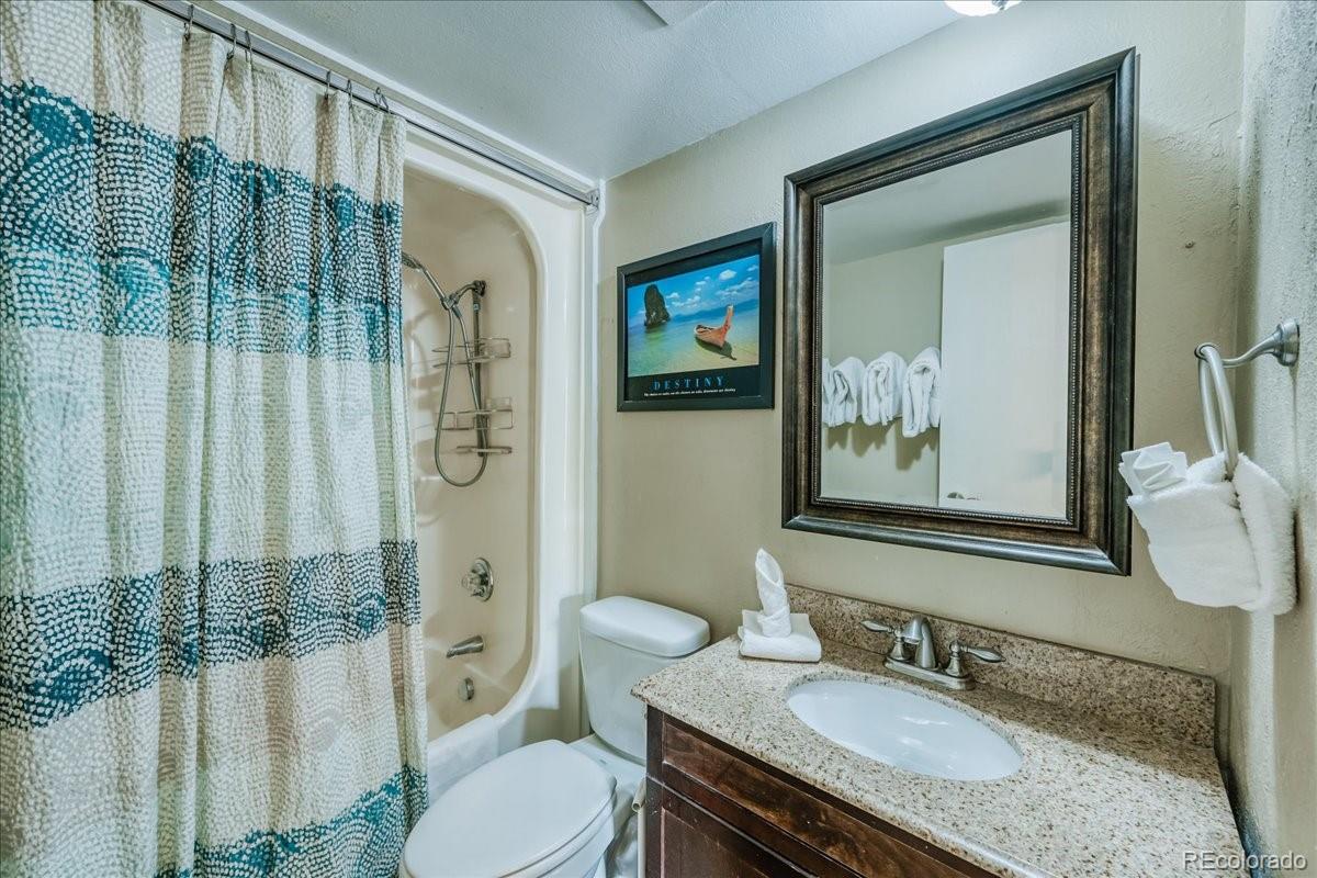 MLS Image #15 for 2300  lodge pole circle,silverthorne, Colorado