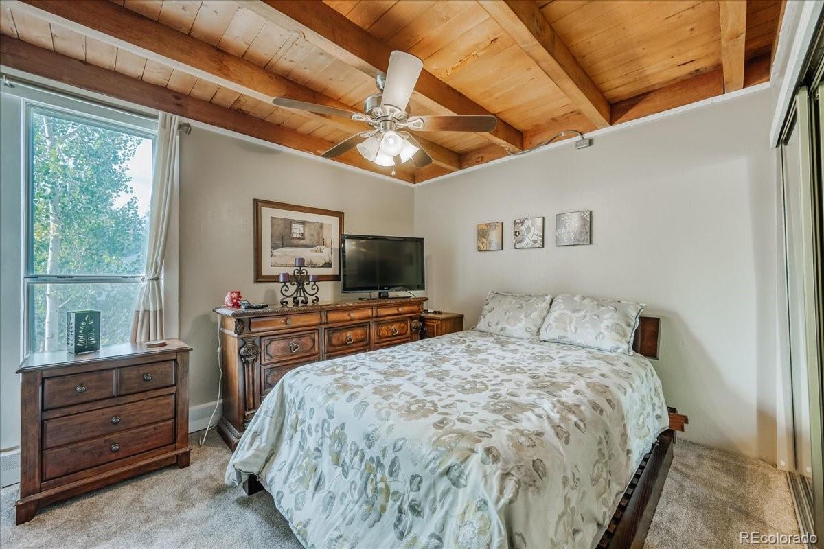 MLS Image #18 for 2300  lodge pole circle,silverthorne, Colorado