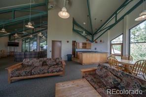 MLS Image #28 for 2300  lodge pole circle,silverthorne, Colorado