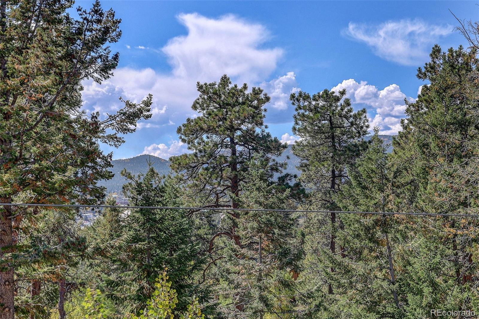MLS Image #10 for 25561  mosier circle,conifer, Colorado