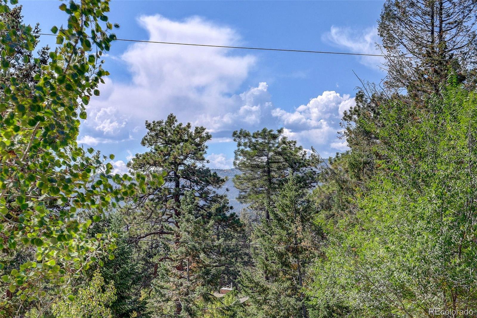 MLS Image #8 for 25561  mosier circle,conifer, Colorado