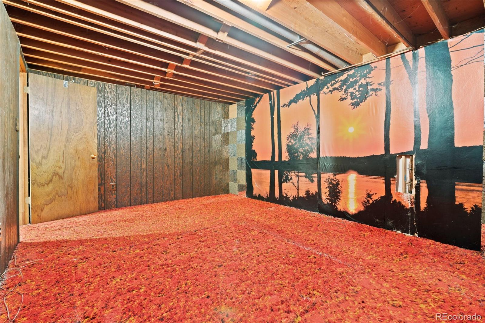 MLS Image #28 for 1080 e 85th place,denver, Colorado